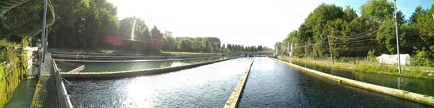 Syndicat des Pisciculteurs Hauts-de-France - SCEA Pisciculture de Merlet