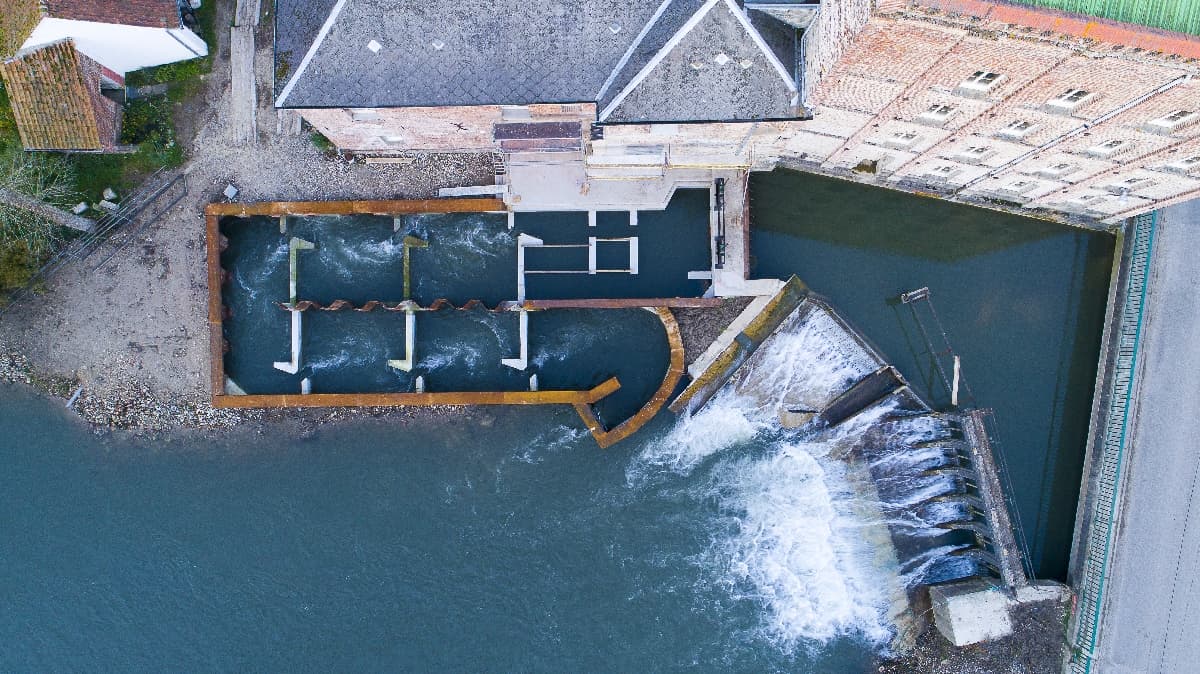 Syndicat des Pisciculteurs Hauts-de-France - Enjeux et développement
