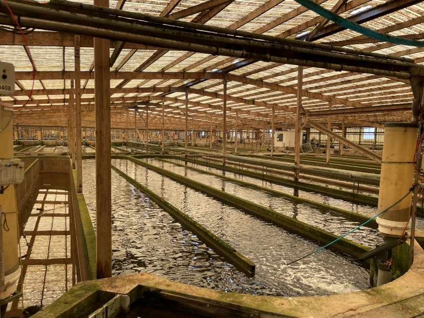 SASU Aquanord Ichtus