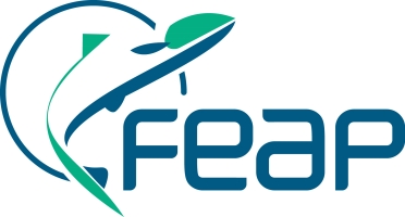 logo FEAP.jpg