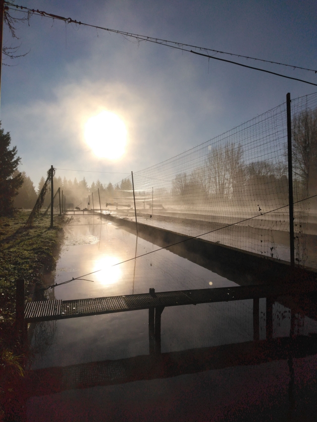 SCEA Pisciculture de Merlet