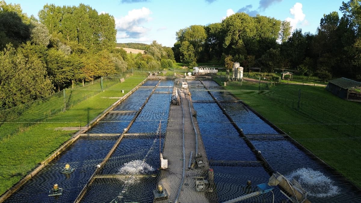 Syndicat des Pisciculteurs Hauts-de-France - Piscicultures eau douce