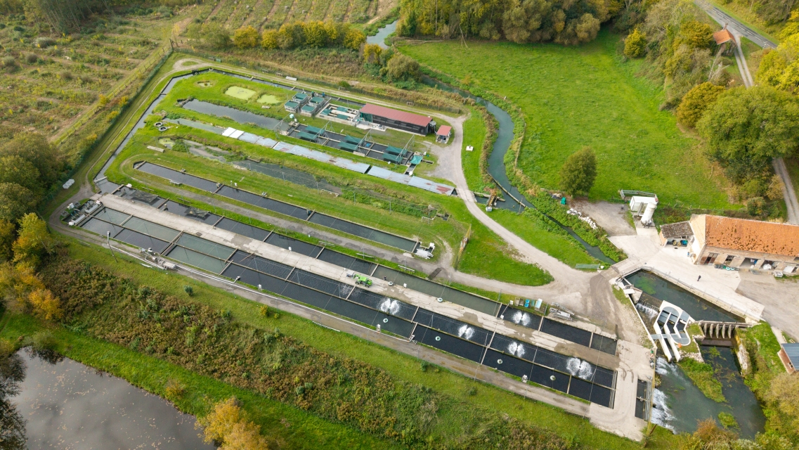 SCEA Pisciculture d'Airaines