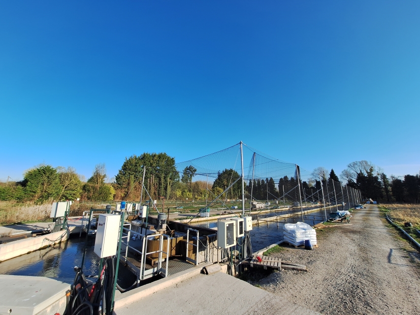 SAS Salmoniculture de la Selle