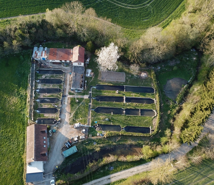 Pisciculture du Moulin St Vaast