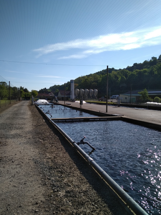 SCEA Le Bléquin Piscicultures