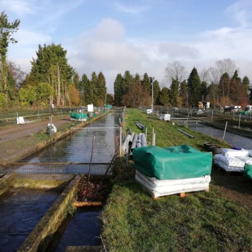 pisciculteurs-hdf-la selle-prouzel-2