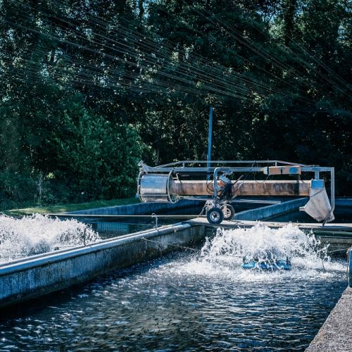 pisciculteurs-hdf-mont saint vaast-4