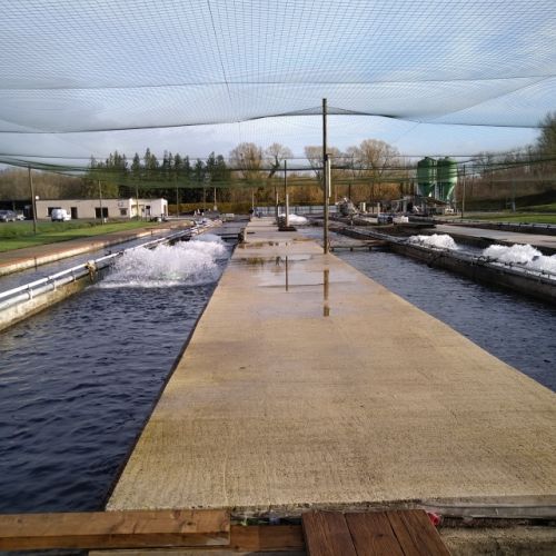pisciculteurs-hdf-fontaine de bichecourt-4