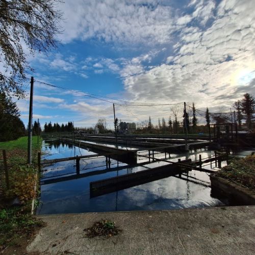 pisciculteurs-hdf-merlet-2