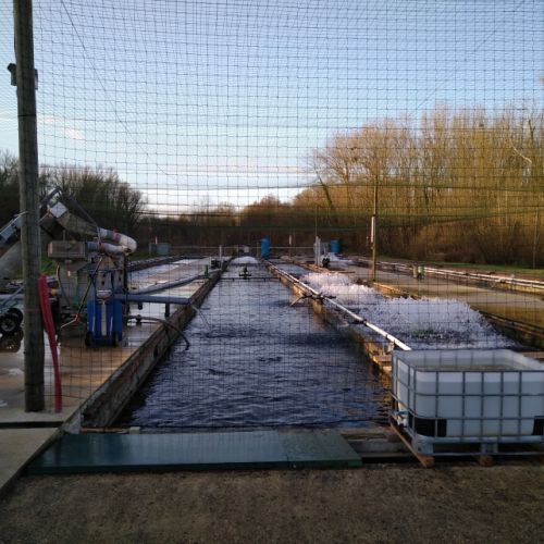 pisciculteurs-hdf-fontaine de bichecourt-3