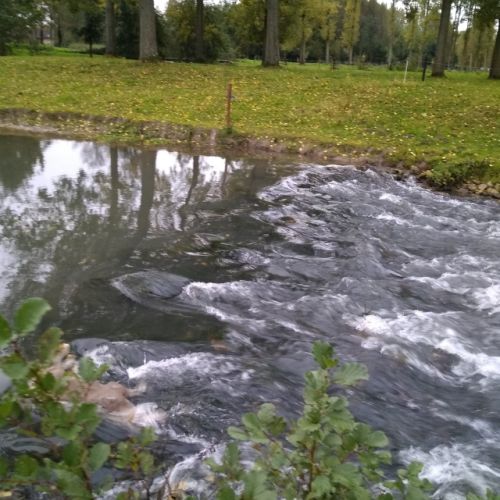 pisciculteurs-hdf-HDF pisciculture-beauvoir wavans-1