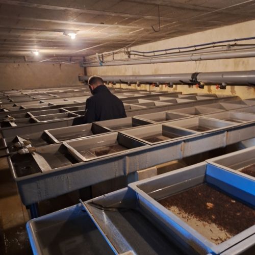 pisciculteurs-hdf-merlet-3