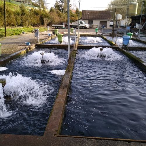 pisciculteurs-hdf-milin nevez-saint ouen-2