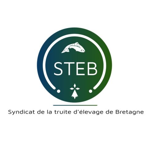 Logo STEB - LArge.jpg