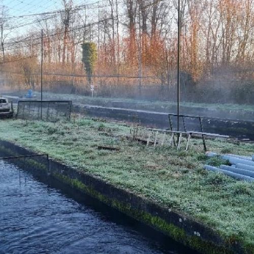 pisciculteurs-hdf-fac-2