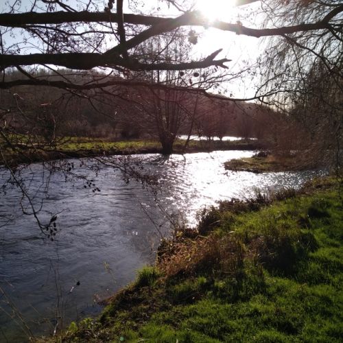 pisciculteurs-hdf-beussent-2