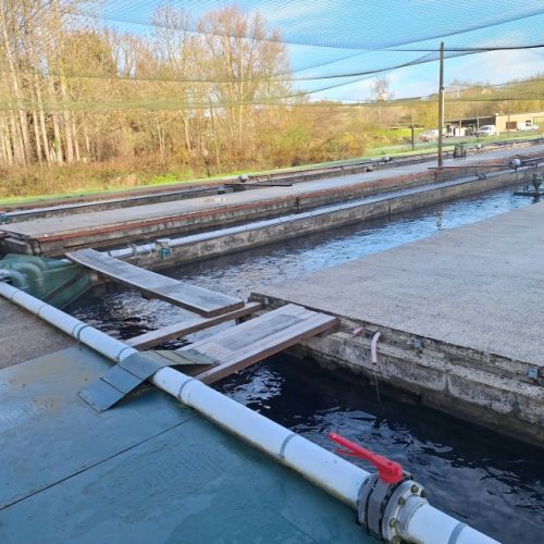 pisciculteurs-hdf-fontaine de bichecourt-1