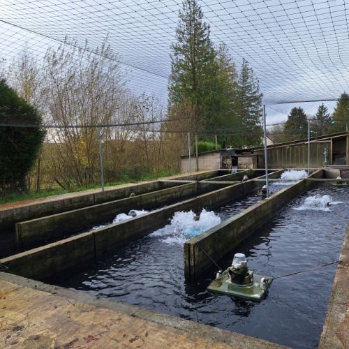 pisciculteurs-hdf-ternoise-7