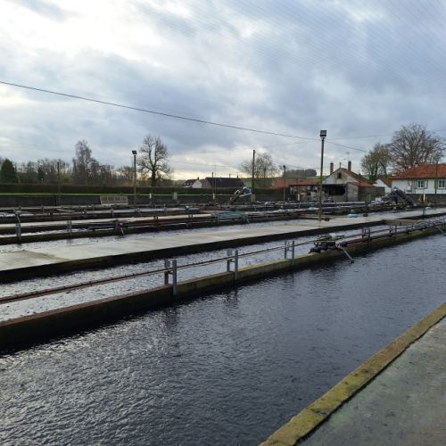 pisciculteurs-hdf-ternoise-9