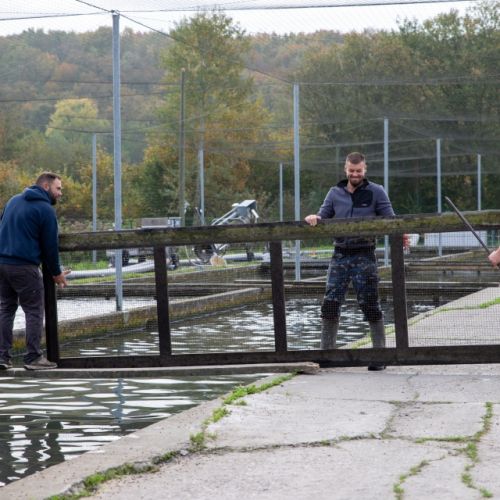 pisciculteurs-hdf-airaines-14