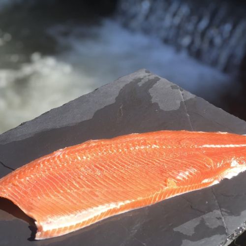 pisciculteurs-hdf-cleret-monchel-truite fumée-1