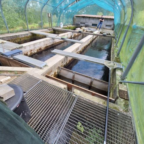 pisciculteurs-hdf-le dien-5