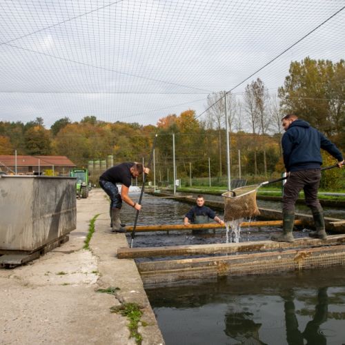 pisciculteurs-hdf-airaines-11