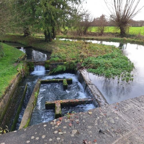 pisciculteurs-hdf-ternoise-8