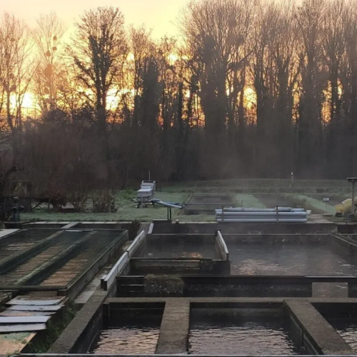 pisciculteurs-hdf-bulles-1