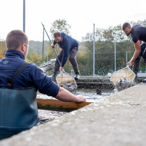 pisciculteurs-hdf-airaines-9