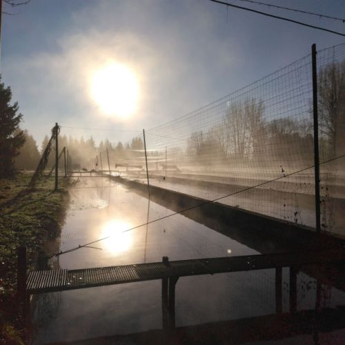 pisciculteurs-hdf-merlet-5