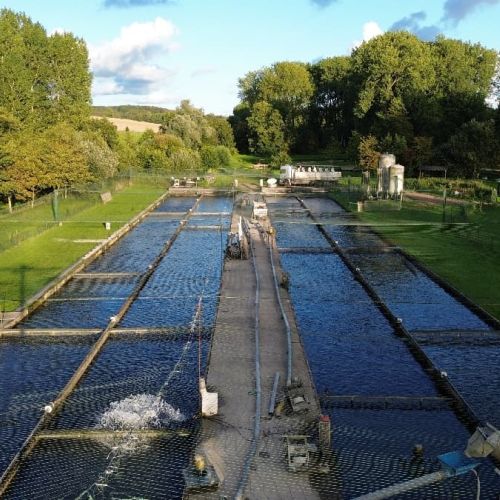 pisciculteurs-hdf-cleret-monchel-8