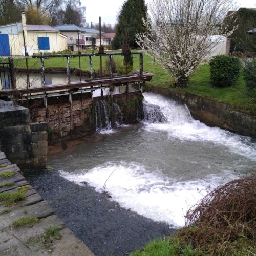 pisciculteurs-hdf-val de grouches-3