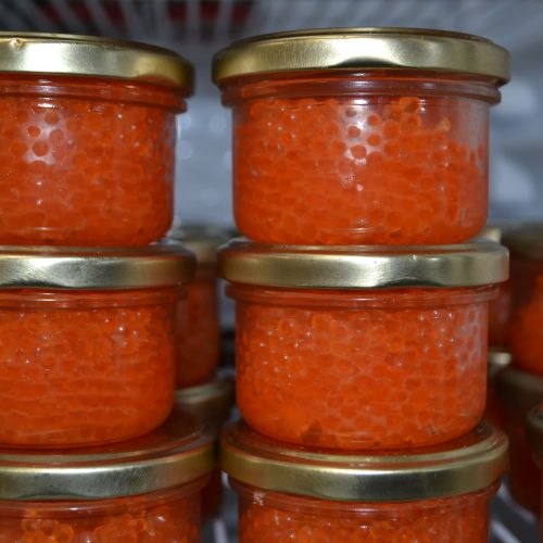 pisciculteurs-hdf-mont saint vaast-oeuf truite magasin-1