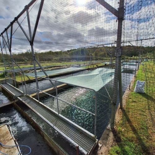 pisciculteurs-hdf-airaines-18