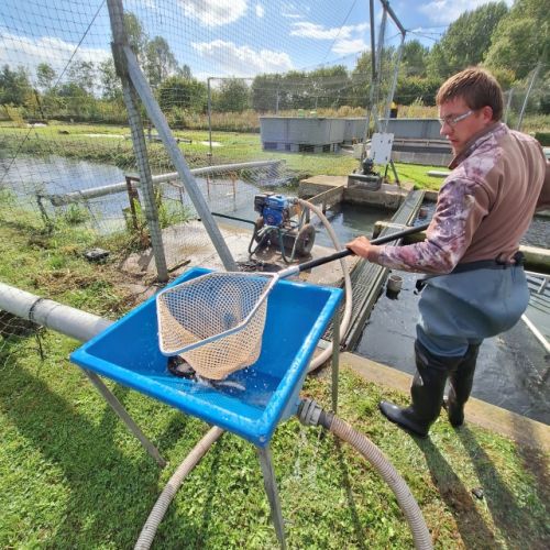 pisciculteurs-hdf-airaines-17