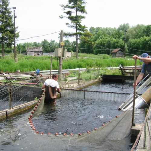 pisciculteurs-hdf-la selle-loeuilly-1