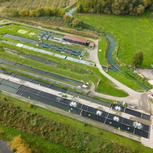 pisciculteurs-hdf-airaines-13