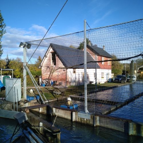 pisciculteurs-hdf-pierru-famechon-3