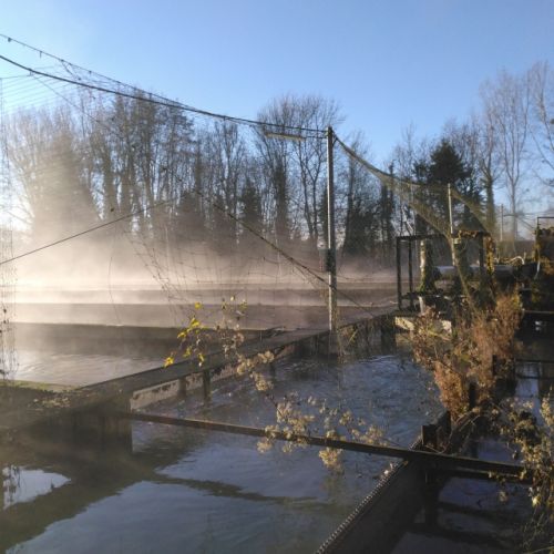 pisciculteurs-hdf-merlet-8