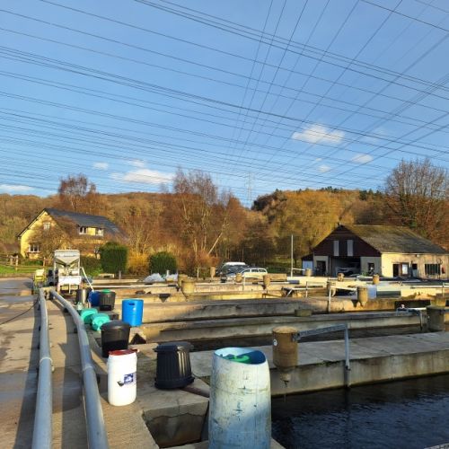 pisciculteurs-hdf-la calonne-4