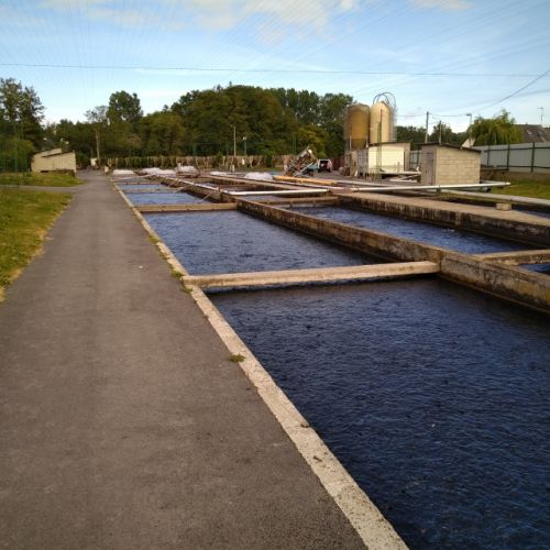 pisciculteurs-hdf-scardon-3