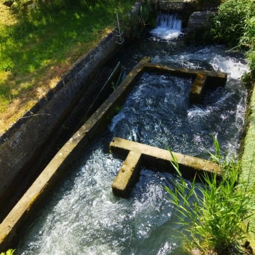 pisciculteurs-hdf-ternoise-4