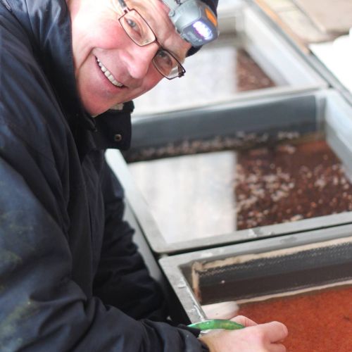 pisciculteurs-hdf-marcoing-œufs de truites-2