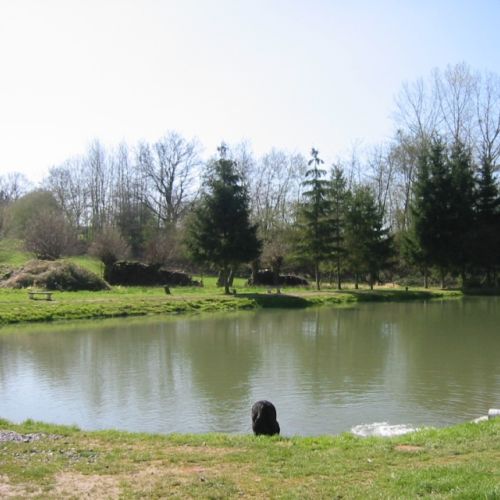 pisciculteurs-hdf-voulpaix-parcours de pêche-1