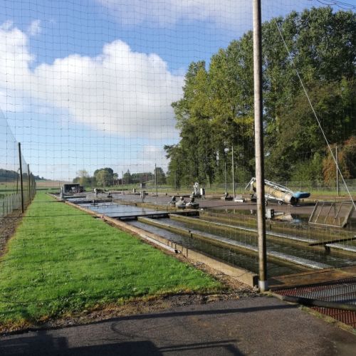 pisciculteurs-hdf-le bléquin-affringues-4