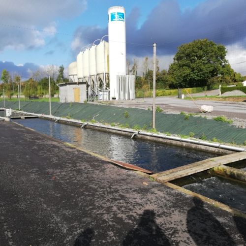 pisciculteurs-hdf-le bléquin-lumbres-1