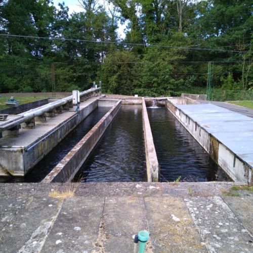 pisciculteurs-hdf-scardon-2