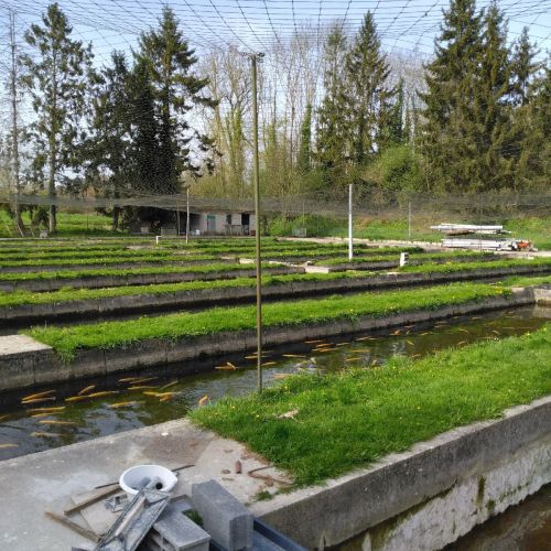 pisciculteurs-hdf-fac-1